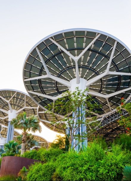 1677126876-Shutterstock-2062326449